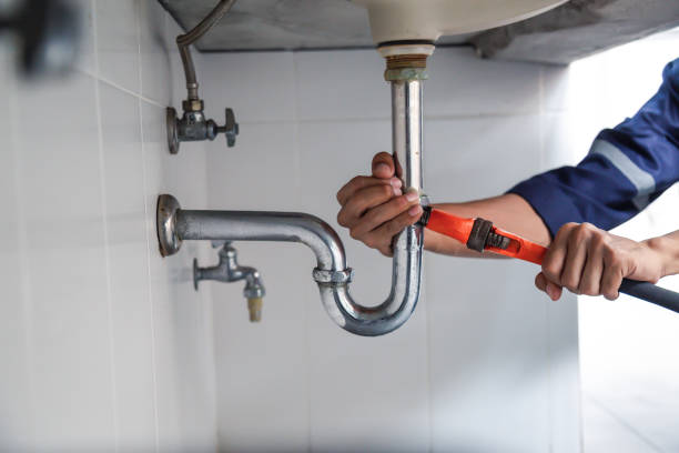 Best Best Plumbers Near Me  in Cleona, PA